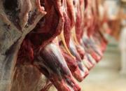 قیمت مرغ و گوشت روندی نزولی می‌یابد