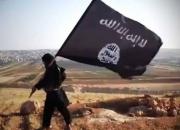 «جلاد داعش در رقه» بازداشت شد