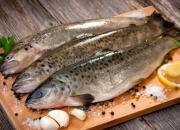 مصرف ماهی در رژیم غذایی چه فوایدی دارد؟