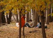 ۶ توصیه طب ایرانی برای گذران فصل پاییز