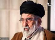 تصویری قدیمی از استاد خسروشاهی در کنار امام خمینی(ره)