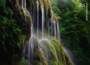 عکس/ تنها آبشار خزه‌ای در ایران