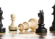 نقش فدراسیون شطرنج در فرار ورزشکاران! +عکس
