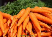 هشدار درباره قاچاق هویج به کشورهای عراق، ارمنستان و پاکستان!