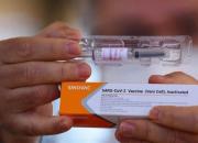 چین واکسن‌های کرونا را ترکیب می‌کند