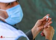 احتمالا واکسیناسیون ایرانیان تا بهمن‌ماه تکمیل شود