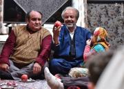فیلم/ کنایه‌های"سریال نون خ" به داوری‌های جشنواره فجر