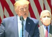 ترامپ: آمریکا را به دلیل کرونا تعطیل نخواهیم کرد