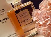 راهنمای خرید عطر زنانه +معرفی پرطرفدارترین عطرهای گرم و سرد زنانه