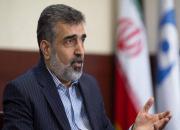 کمالوندی: ایران فشار و تهدید را نمی پذیرد