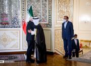 عکس/ وزیر خارجه کویت در آغوش ظریف