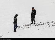 فیلم/ آغاز بارش برف در برخی از مناطق تهران