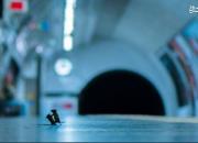 دعوای ۲ موش در متروی لندن!+ عکس
